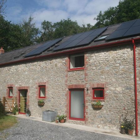 Creatively Converted Barn In Accessible Rural Spot Llanwrda Buitenkant foto